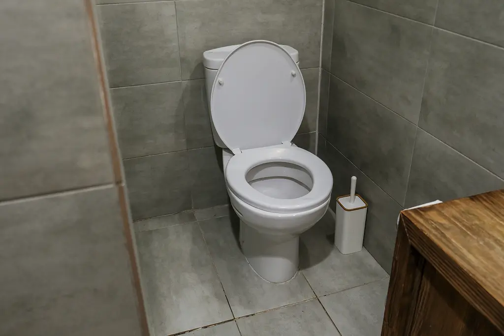 A newly installed toilet by Clark County Plumbing in a Vancouver home.